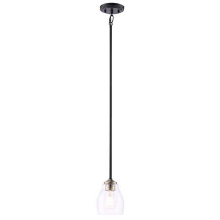 Pendant with Canopy - CSB